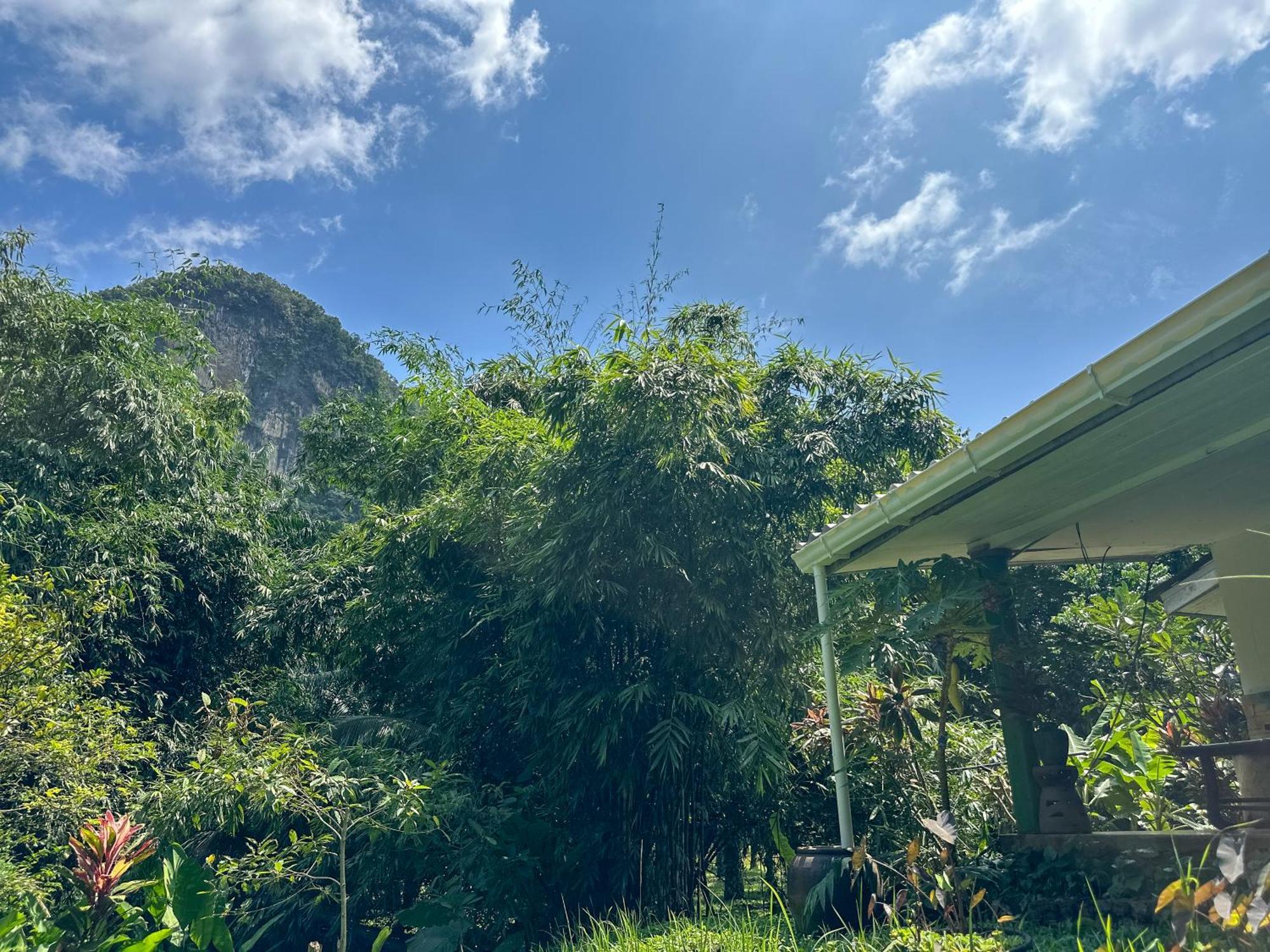 Baan Suanthip Homestay - Aoluek Natural Retreat อ่าวลึก ภายนอก รูปภาพ